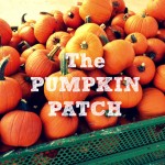 The Pumpkin Patch